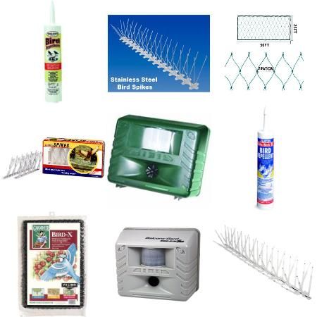 Picture for category Bird Control